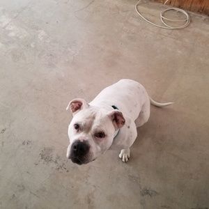 Meet your Posher, Zachary